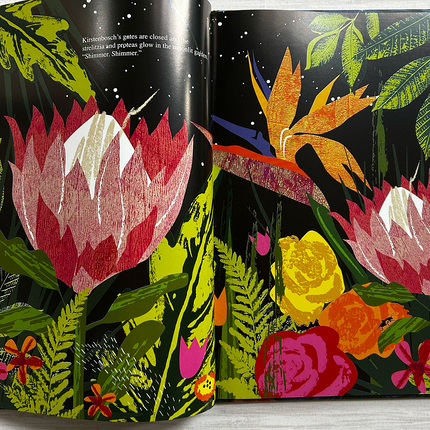 product-53-485-book-inside-3.jpg